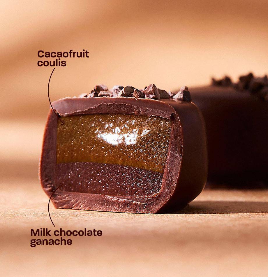 Jeff de Bruges Introducing Cacaofruit Jellies | Cabosse Naturals